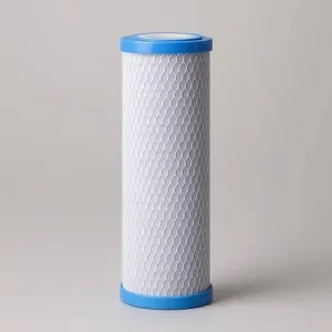 Filtro Cartucho 10